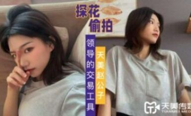 天美傳媒 天美趙公子探花 自拍領導的交易工具